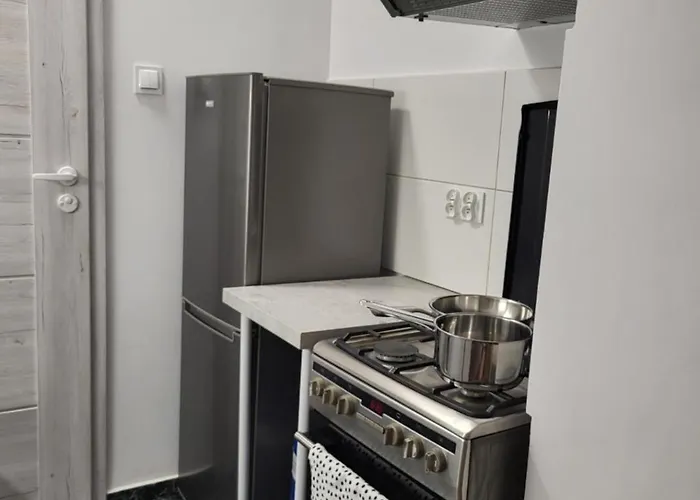 Lejlighed Z Tarasem Ogrodowym *